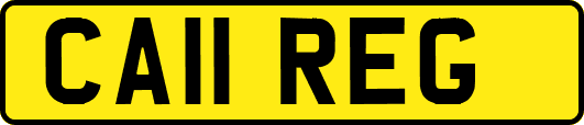 CA11REG