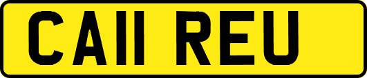CA11REU