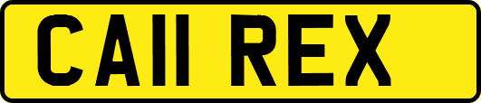 CA11REX