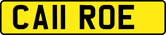 CA11ROE