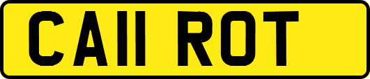CA11ROT