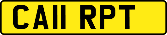 CA11RPT