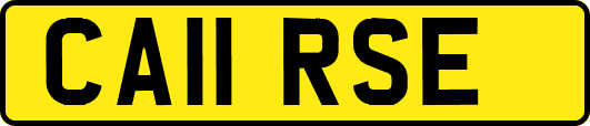 CA11RSE