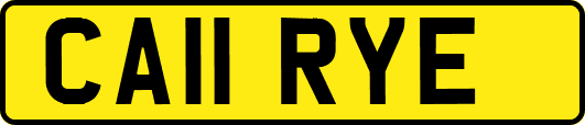 CA11RYE
