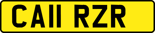CA11RZR