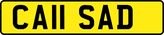CA11SAD