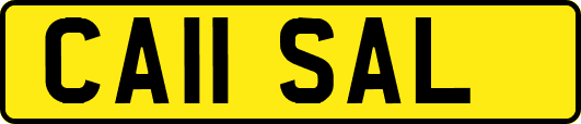 CA11SAL