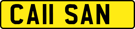 CA11SAN