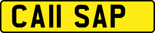 CA11SAP