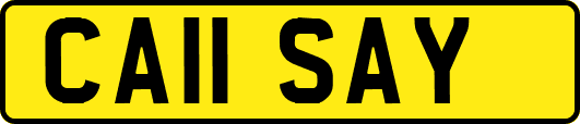 CA11SAY