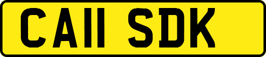 CA11SDK