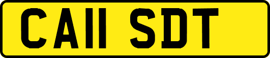 CA11SDT