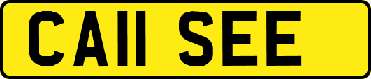 CA11SEE