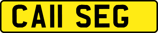 CA11SEG