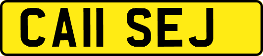 CA11SEJ