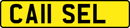 CA11SEL