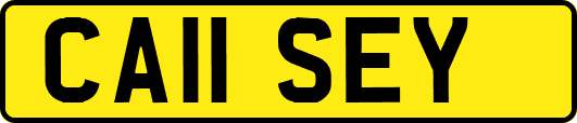 CA11SEY