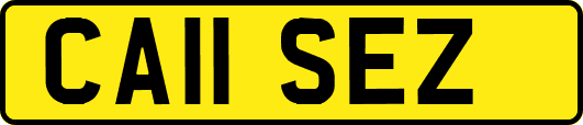 CA11SEZ