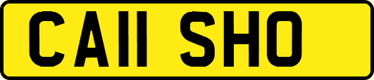 CA11SHO
