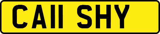 CA11SHY