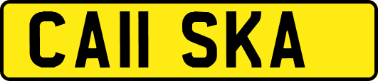 CA11SKA