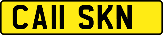 CA11SKN