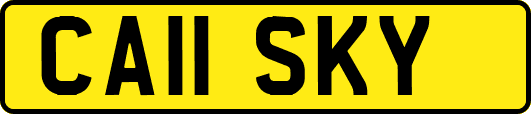 CA11SKY