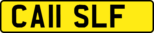 CA11SLF