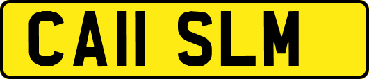 CA11SLM
