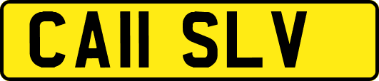 CA11SLV