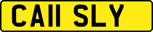 CA11SLY