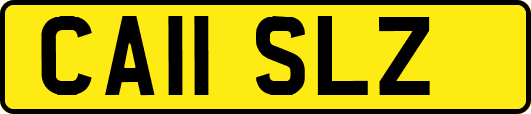 CA11SLZ