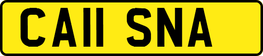 CA11SNA