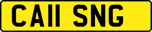 CA11SNG