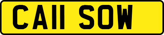 CA11SOW