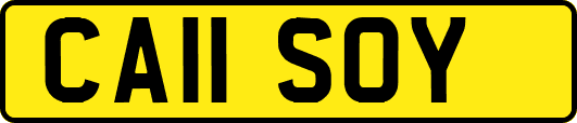 CA11SOY
