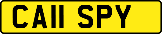 CA11SPY