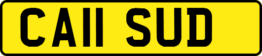 CA11SUD