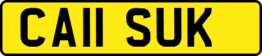 CA11SUK