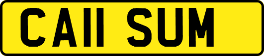 CA11SUM