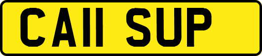 CA11SUP