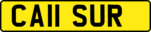 CA11SUR