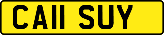 CA11SUY