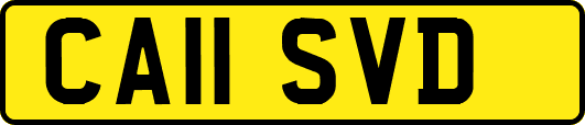 CA11SVD