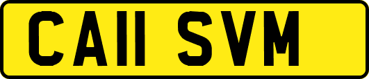 CA11SVM