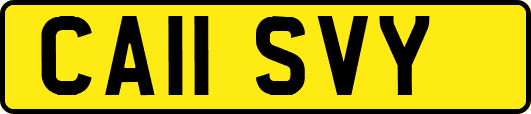 CA11SVY
