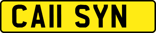 CA11SYN