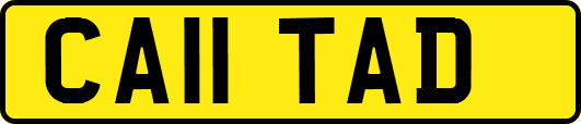 CA11TAD