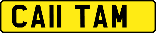 CA11TAM