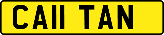 CA11TAN